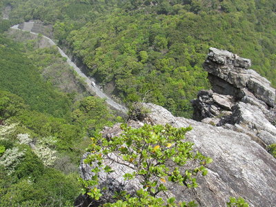 IMG_1873.JPG (410.34 KiB) 閲覧された回数 3836 回 怖くて行けない!