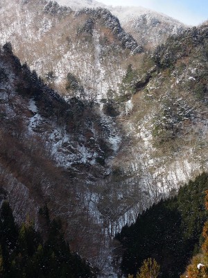 千石林道終点から見える大滝の天蓋。