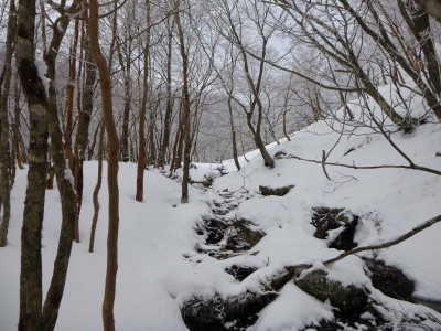 13 02 16_5932.jpg (465.78 KiB) 閲覧された回数 6097 回 雰囲気のいいヌタハラ谷源流域