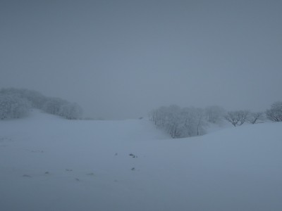 ガスに包まれた御池岳