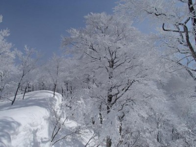 P2170696_640.jpg (53.71 KiB) 閲覧された回数 8492 回 この世のものとは思えないような美しさだった