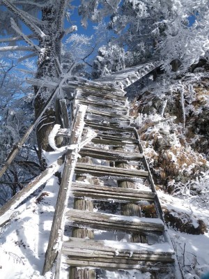 凍った木の階段