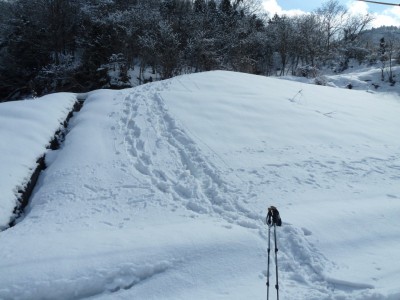 取り付きの土捨て場
