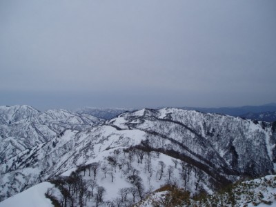 金草岳から高倉峠へ
