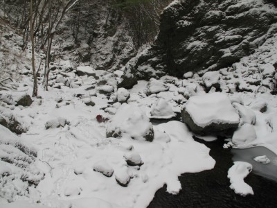 IMG_6972.jpg (449.83 KiB) 閲覧された回数 6546 回 風折滝周辺