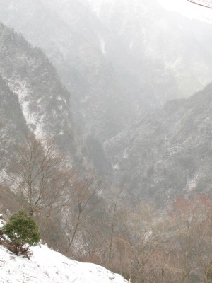 IMG_6983.jpg (404.26 KiB) 閲覧された回数 6546 回 風折谷