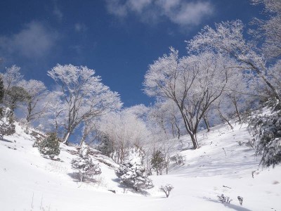 IMGP5464.JPG (88.25 KiB) 閲覧された回数 8003 回 桜井峠(仮称)