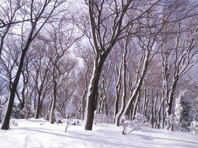 IMGP5478.JPG (166.52 KiB) 閲覧された回数 8010 回 沢田村山へ