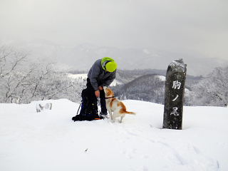 駒ノ尾山の案内犬・コマちゃん