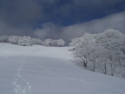 P3030072_512.jpg (18.08 KiB) 閲覧された回数 1890 回 zekkei