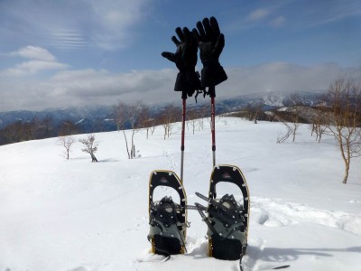 P1010286.JPG (130.57 KiB) 閲覧された回数 3336 回 一服平でいっぷくしている