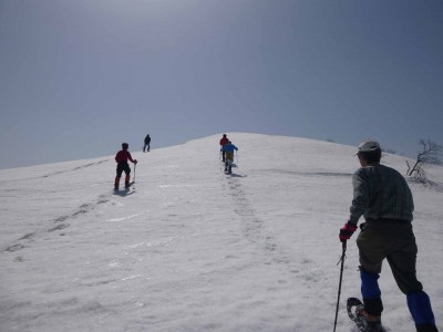 左千方へお散歩