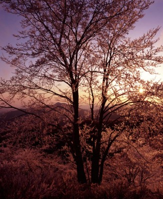 ドラマチックに生きる