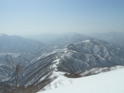 左千方から谷山への尾根