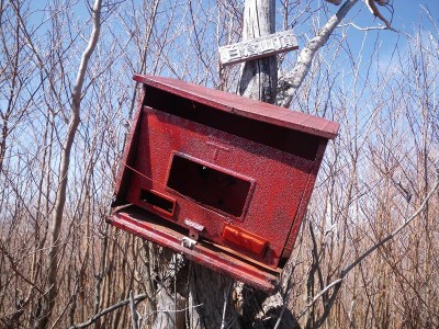 IMGP5661.JPG (158.42 KiB) 閲覧された回数 6208 回 白倉山