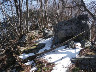 IMGP5712.JPG (150.09 KiB) 閲覧された回数 6202 回 春間近