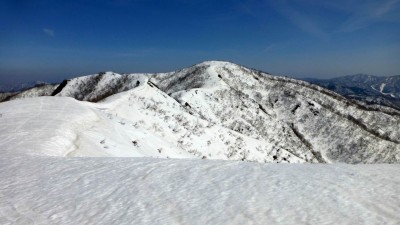 白倉の頭から金糞岳を振り返る