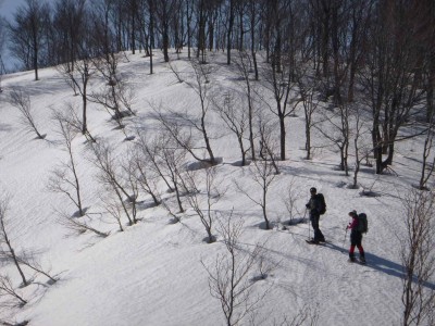 山日和さんとバーチャリさん