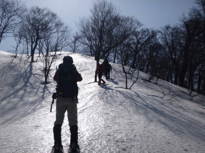 朝日に輝く雪面とヤブメン達