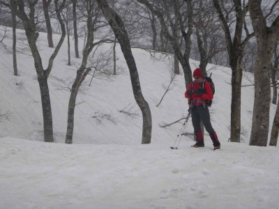 ブナ林の中のグーさん　絵になる人だ