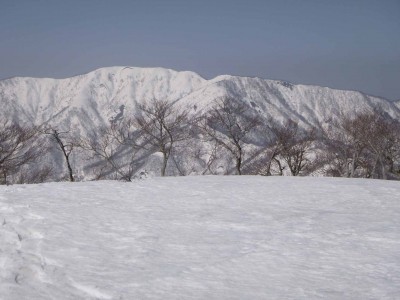 P1020297.jpg (158.95 KiB) 閲覧された回数 11121 回 上谷山