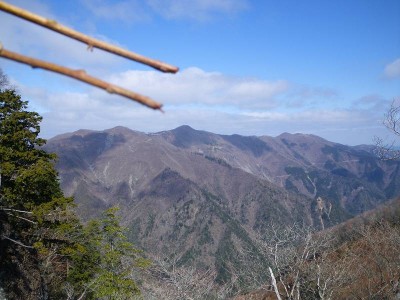 現地調達のハシですが、迷いバシはいけませんね