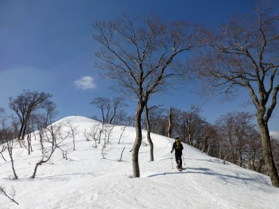 P1010724.JPG (228.96 KiB) 閲覧された回数 8799 回 山日和さんに導かれて