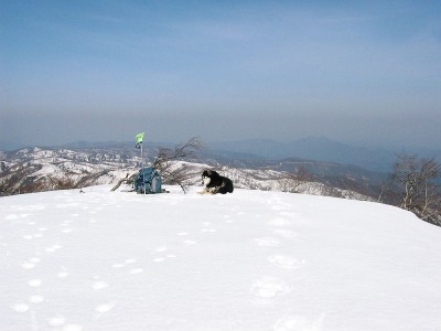 ●上谷山頂上だよ