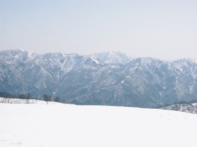 ●好いお天気にいかな見られないね