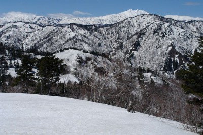 1869.5m峰東尾根も候補のひとつ、問題は渡渉やなあ・・・