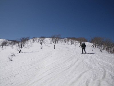 金糞岳山頂へ