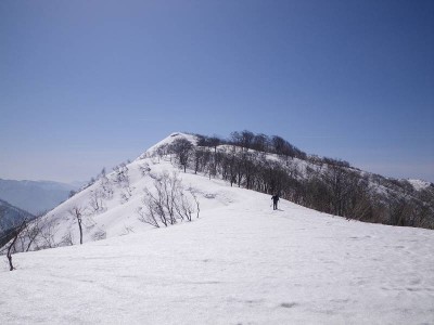 金糞岳山頂間近