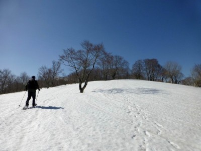 P1010865.JPG (159.64 KiB) 閲覧された回数 10946 回 昨日のものと思われる2つのトレースが続いている