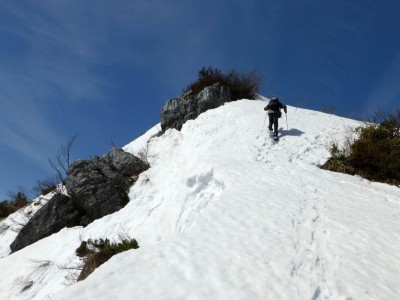 P1010950.JPG (146.18 KiB) 閲覧された回数 10946 回 白倉峠(鞍部)からの鬼の登り返し