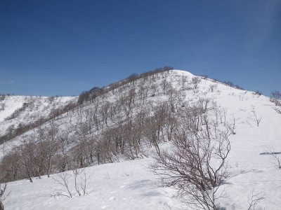 金糞岳山頂方面を振り返る