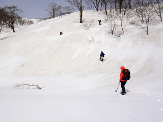 kitayama-walkさんの華麗なバック滑り