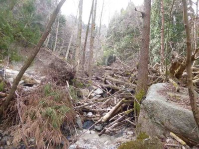 P1020583_1.jpg (80.69 KiB) 閲覧された回数 4426 回 倒木に通せんぼされた松山谷 なんだかな〜