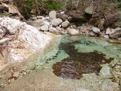 ニゴリ谷は明るく開けた谷で，のんびり山行にはいいコースです