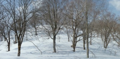 パノラマ 1_1.JPG