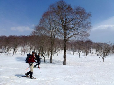 和田山牧場付近（野伏平）の様子