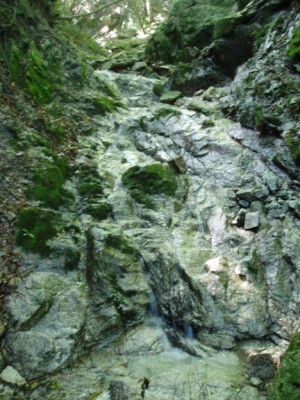 ボケてますが、水量谷源頭部