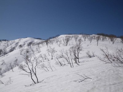 川上三角点を見る