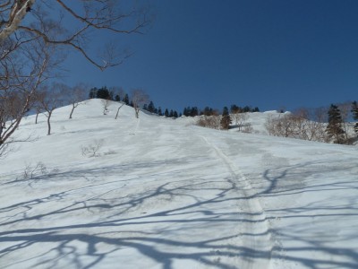 シリセードのトレース