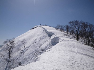金糞岳山頂へ