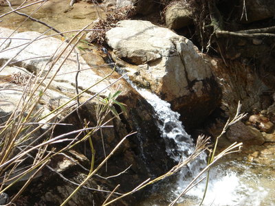 勝手に「女滝」