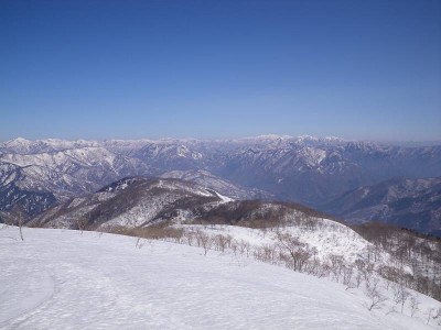 金糞岳北尾根を振り返る