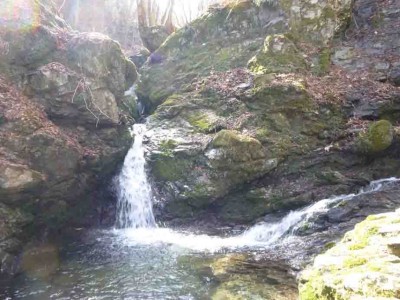 P1020646_1.jpg (63.2 KiB) 閲覧された回数 4135 回 口ワサビ谷出会い