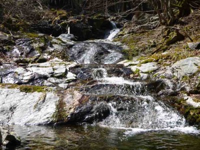 P1020664_1.jpg (119.6 KiB) 閲覧された回数 4142 回 ナメまで出てきた