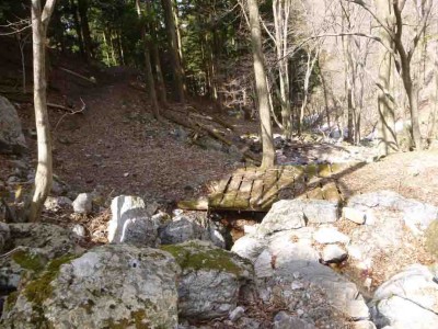 P1020687_1.jpg (83.74 KiB) 閲覧された回数 4135 回 口ワサビ谷を横切る林道