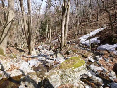 P1020669_1.jpg (115.82 KiB) 閲覧された回数 4141 回 ワサビ谷源流部